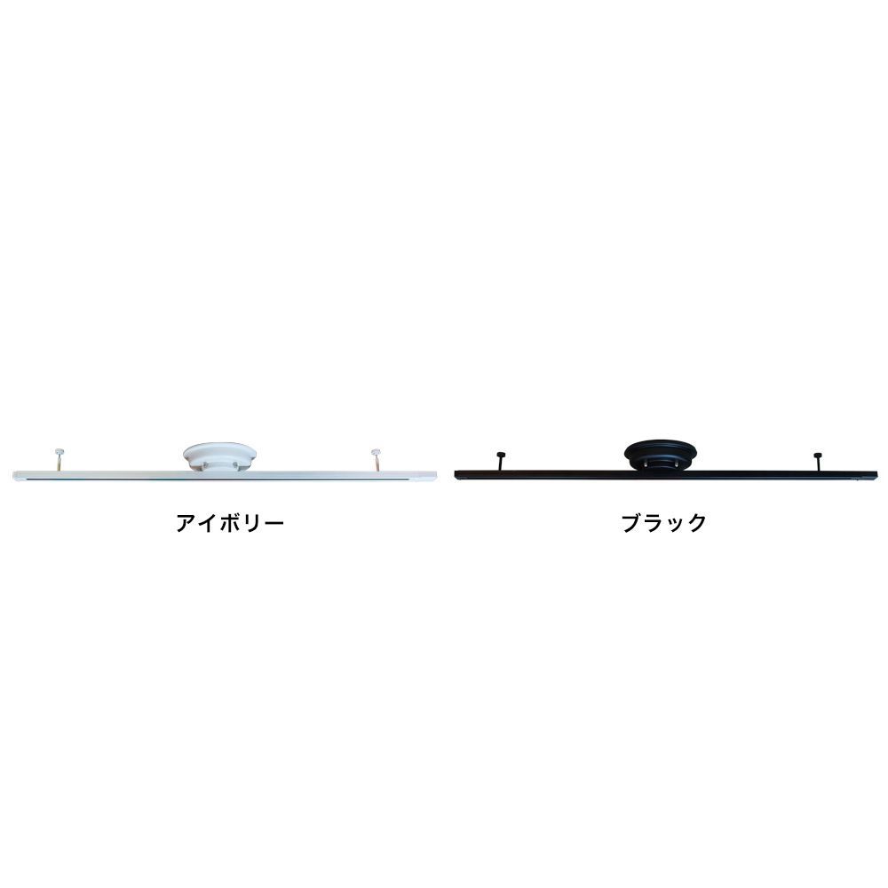 Option parts Lighting rail ライティングレール