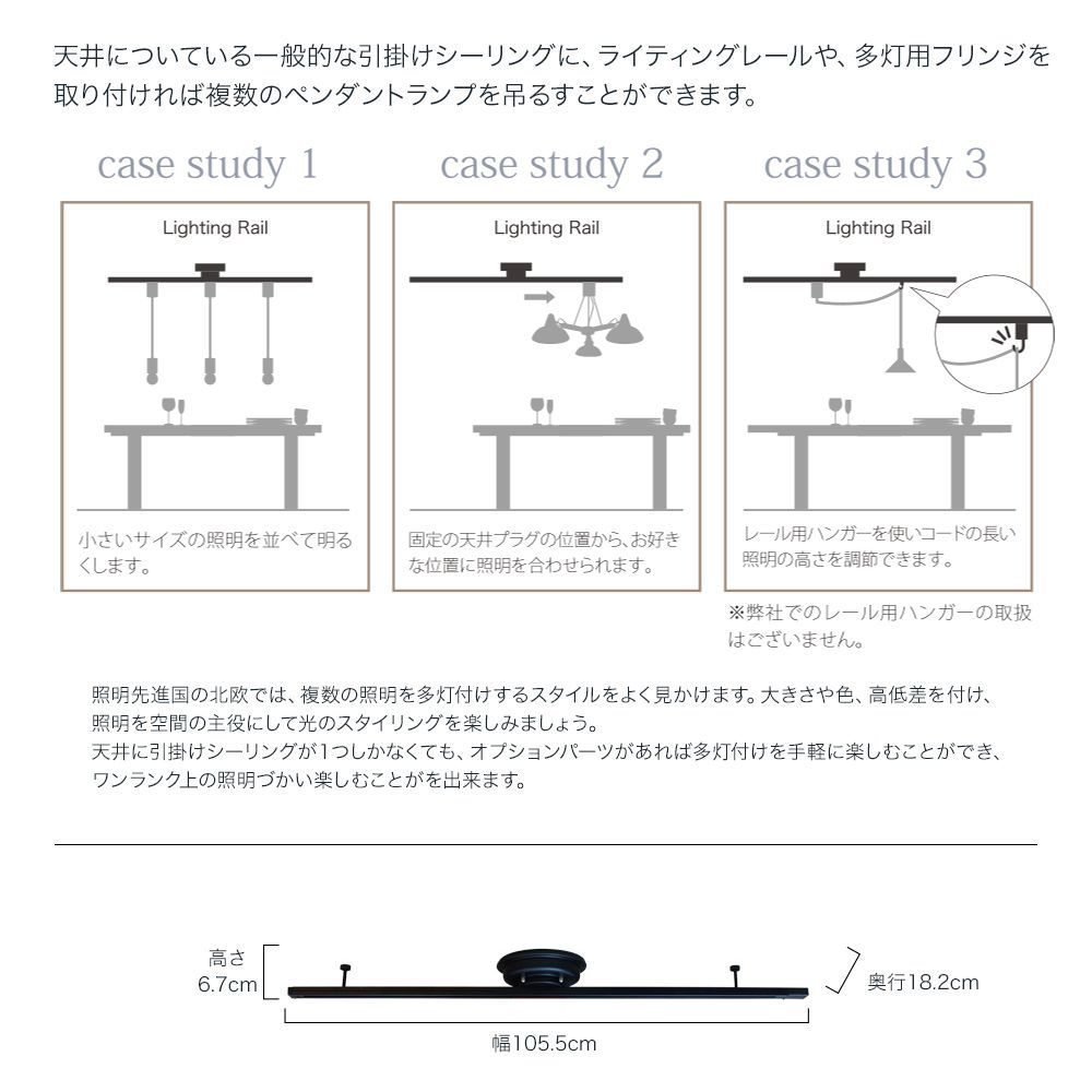 Option parts Lighting rail ライティングレール