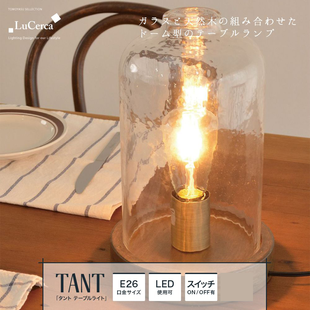 TANT タント テーブルライト LEDレトロエジソン球付き