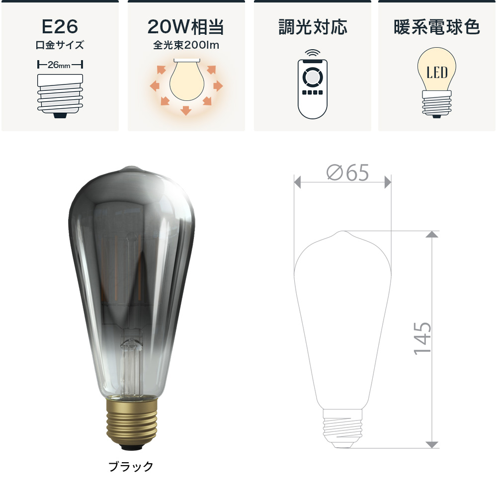 Only One Edison エジソン